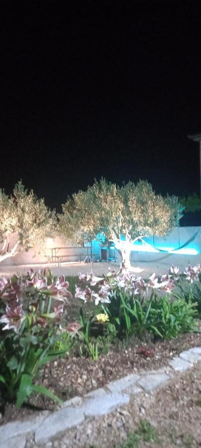 Apartmani Nikica Drage Dış mekan fotoğraf